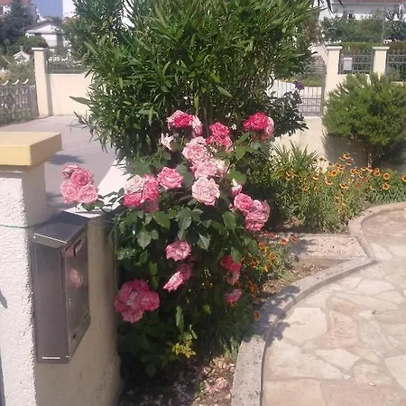 Vila Nada Borik * زادار